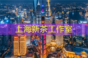 爱上海：人跟人不一样的成语