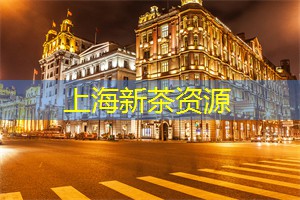 爱上海龙凤419：饮一杯上海的茶，感受城市的灵魂！新茶工作室等你来探索！