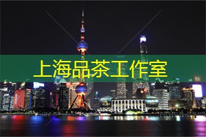 爱上海：每一寸都散发着芬芳的气息