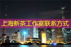 上海新茶工作室联系方式：探寻世界美酒文化：上海会所顶级品酒师的推荐